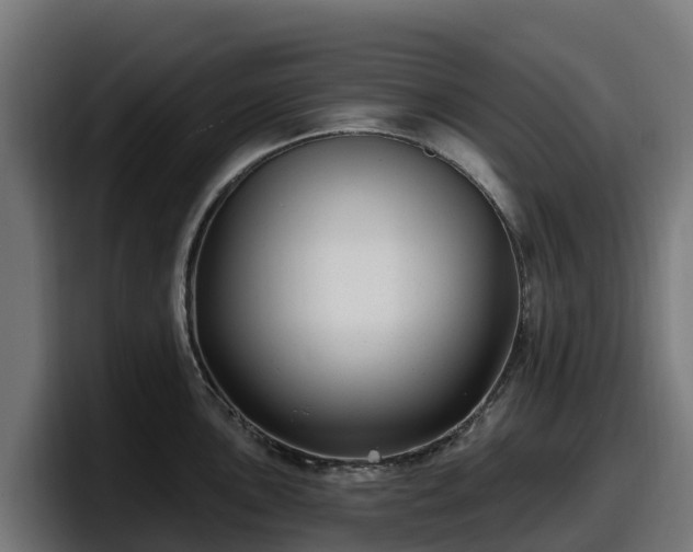 X0000097851051200803201534