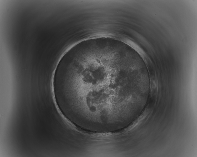 X0000097851055200803201534