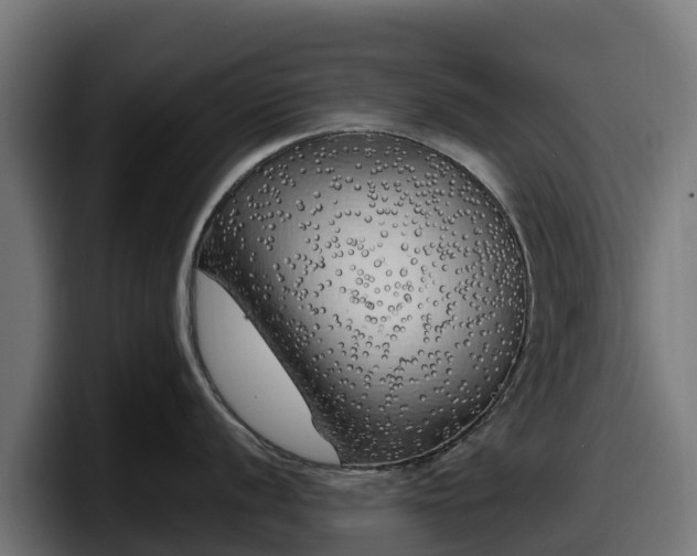 X0000097851056200803201534
