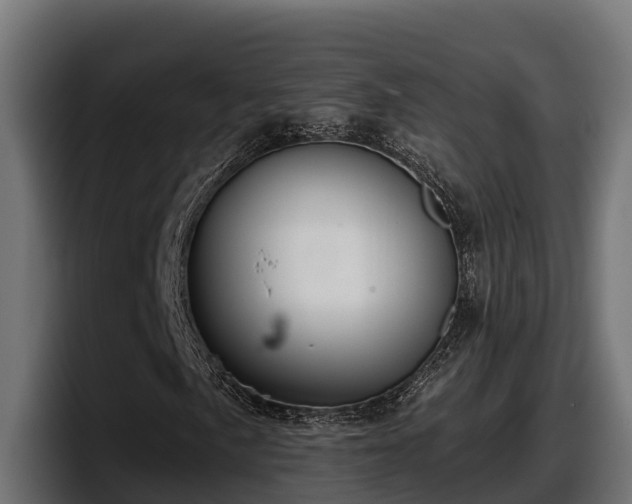 X0000097851057200803201533