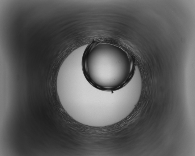 X0000097851060200803201533