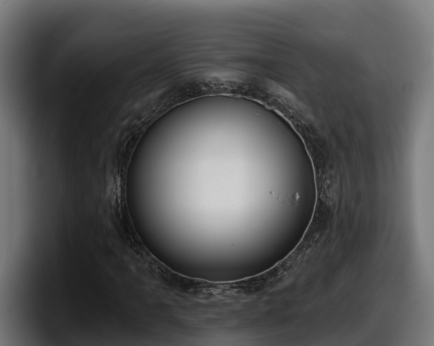 X0000097851061200803201533