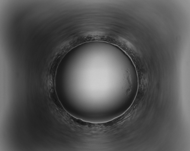 X0000097851062200803201533