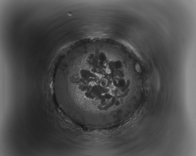 X0000097851063200803201533