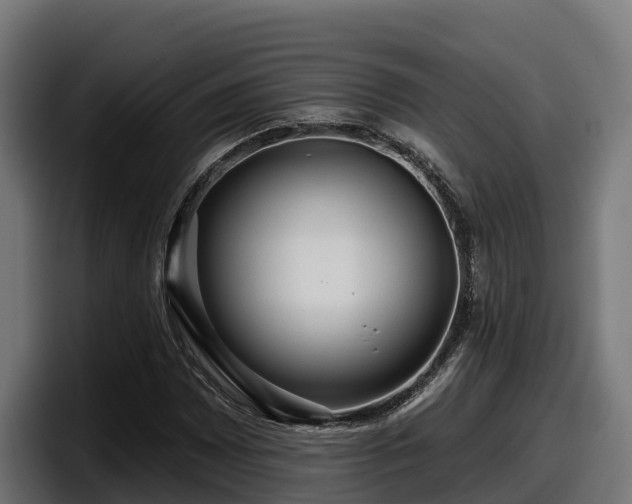 X0000097851065200803201533
