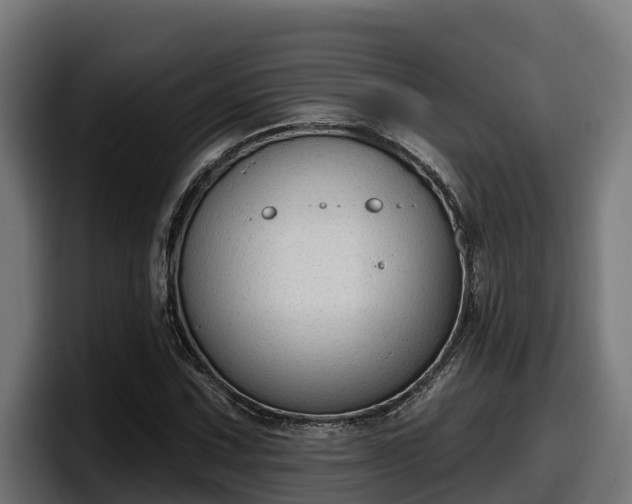 X0000097851067200803201533