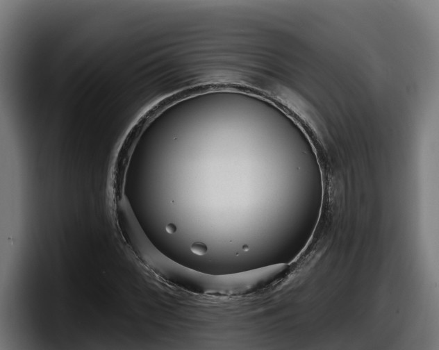 X0000097851068200803201533