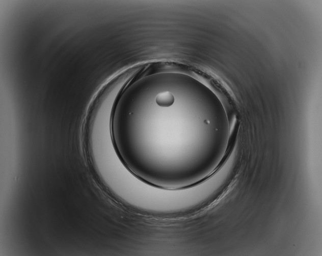 X0000097851069200803201533