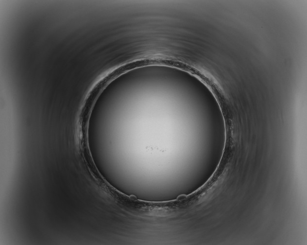 X0000097851070200803201533