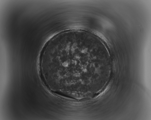 X0000097851071200803201533