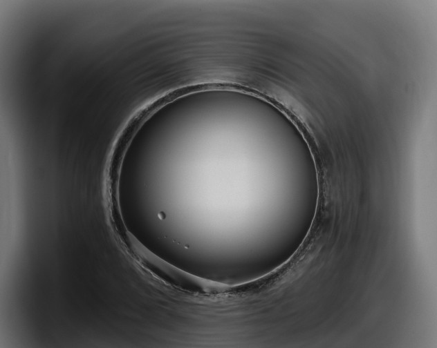 X0000097851072200803201533