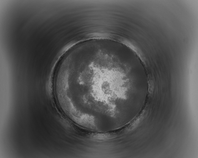 X0000097851074200803201533