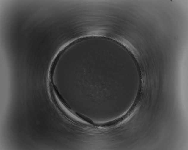 X0000097851077200803201533
