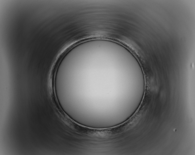 X0000097851078200803201533