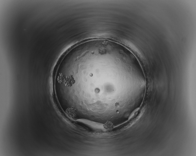 X0000097851079200803201533