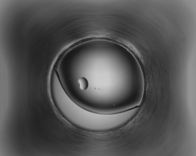 X0000097851080200803201533