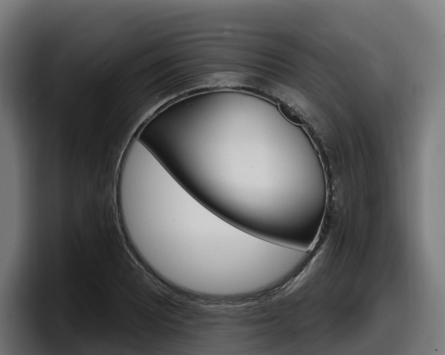 X0000097851081200803201533