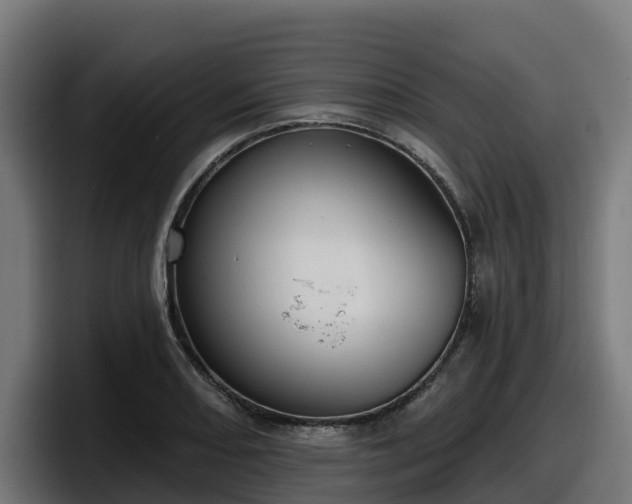 X0000097851082200803201533