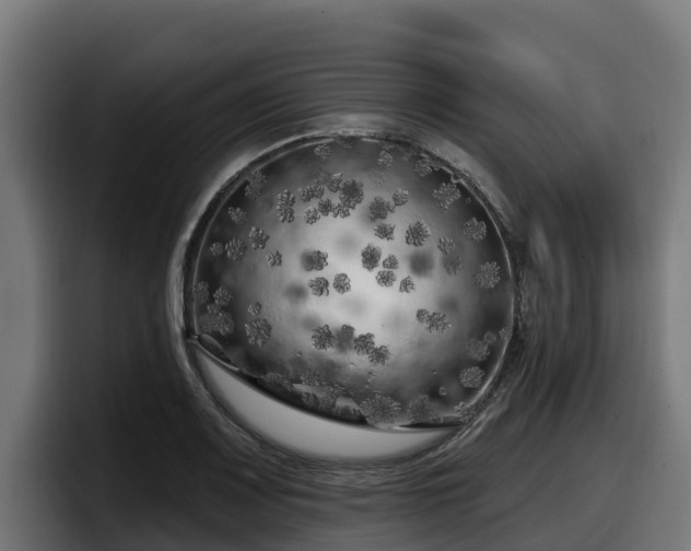 X0000097851083200803201533