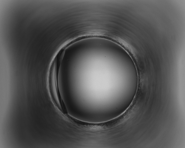 X0000097851085200803201533