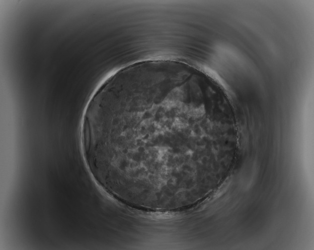 X0000097851087200803201533