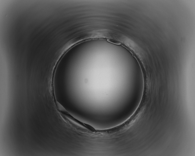 X0000097851089200803201533