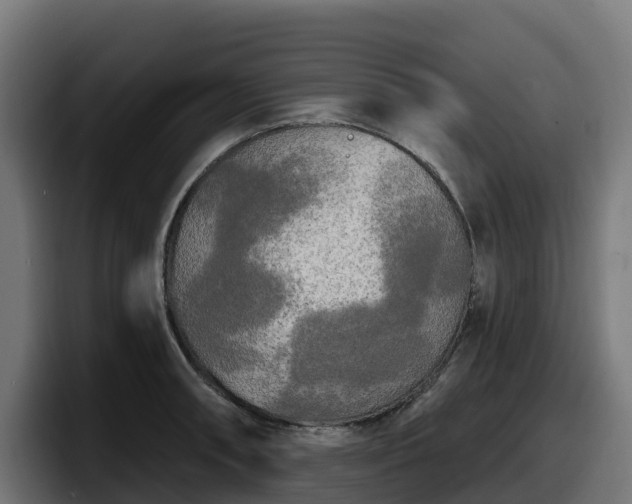 X0000097851090200803201533