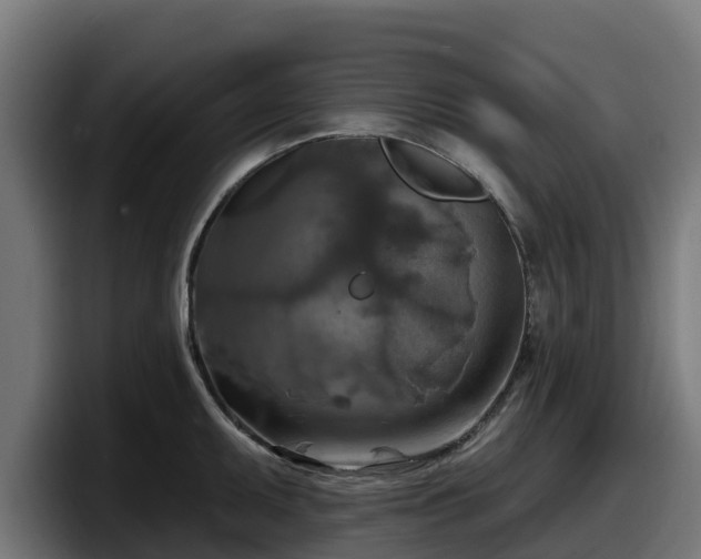 X0000097851095200803201533