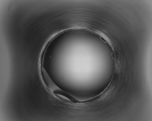 X0000097851096200803201533