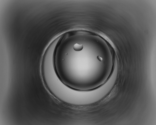 X0000097851101200803201533