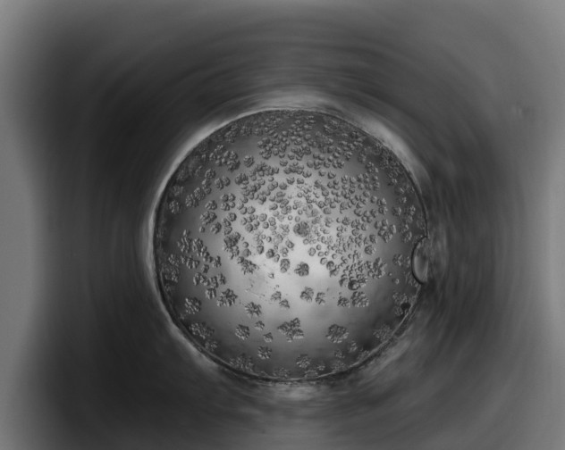 X0000097851103200803201533