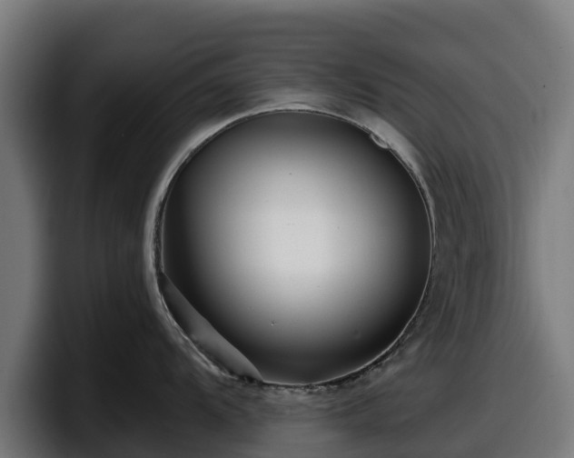 X0000097851104200803201533