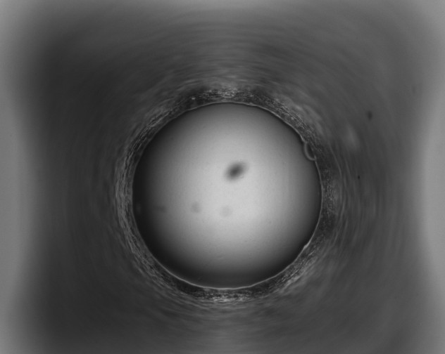 X0000097851105200803201532