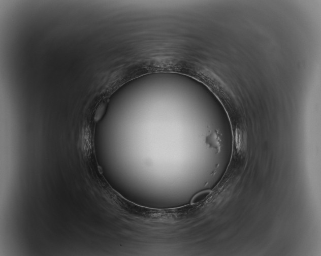 X0000097851107200803201532
