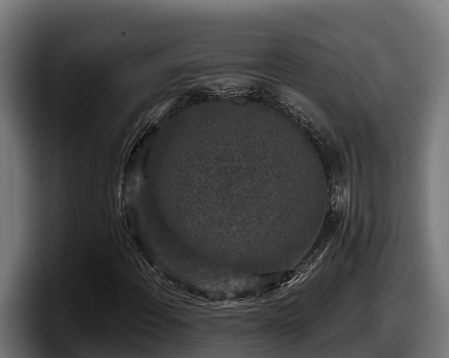 X0000097851108200803201532
