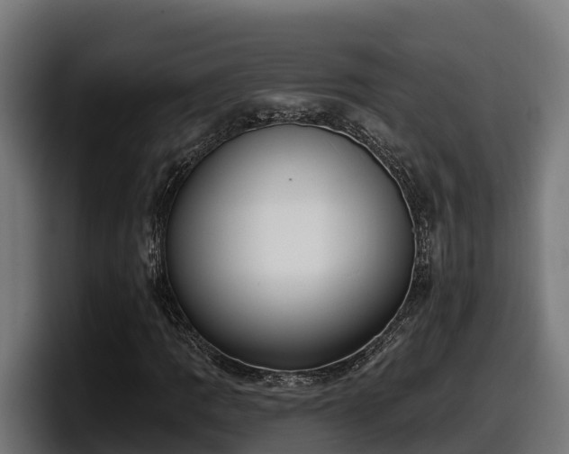 X0000097851109200803201532
