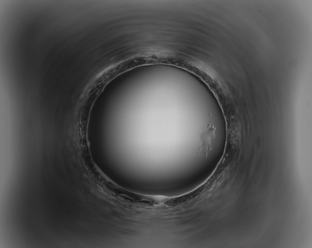 X0000097851112200803201532