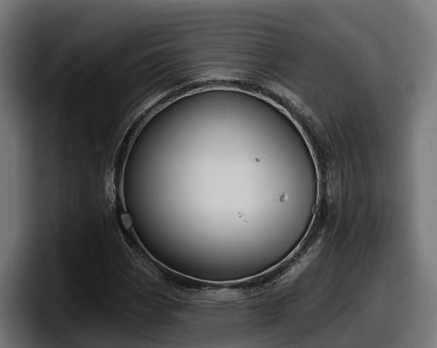 X0000097851113200803201532