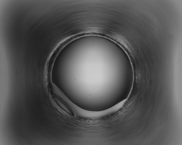 X0000097851116200803201532