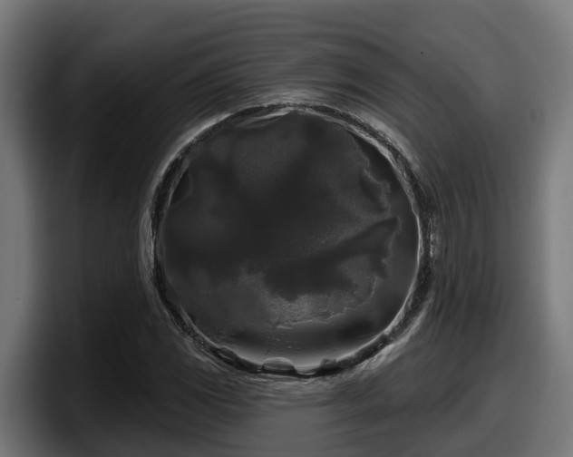 X0000097851117200803201532