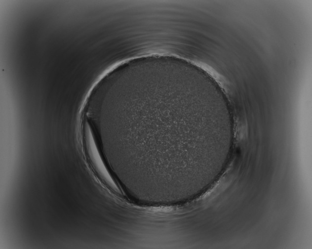 X0000097851118200803201532