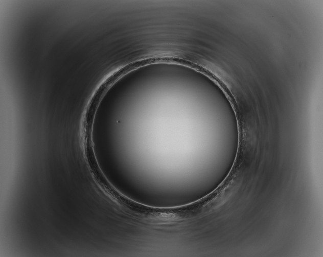 X0000097851119200803201532