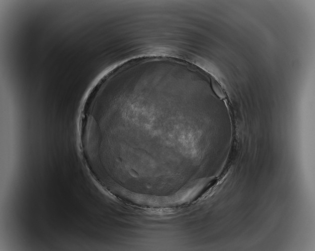 X0000097851120200803201532