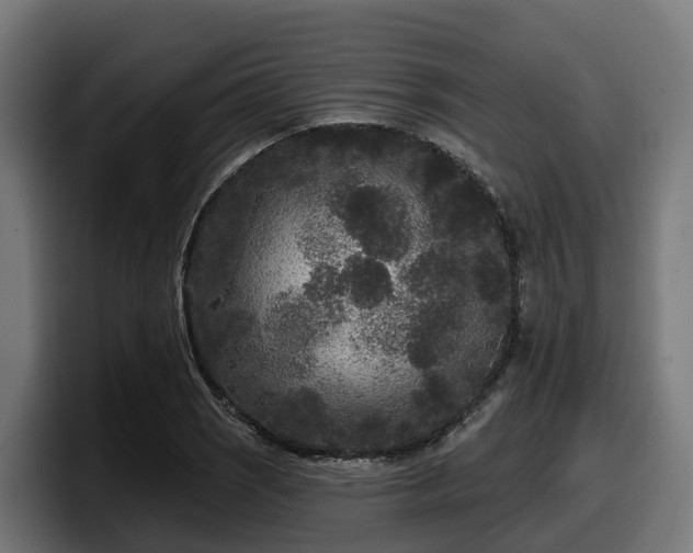 X0000097851121200803201532