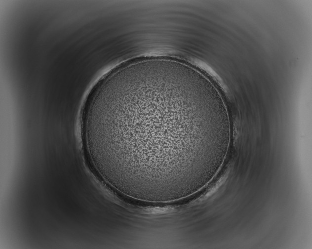 X0000097851122200803201532