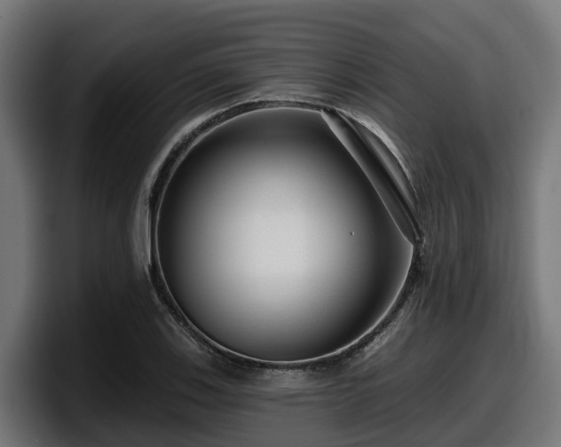 X0000097851123200803201532