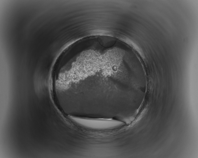 X0000097851125200803201532