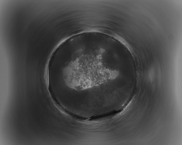 X0000097851127200803201532
