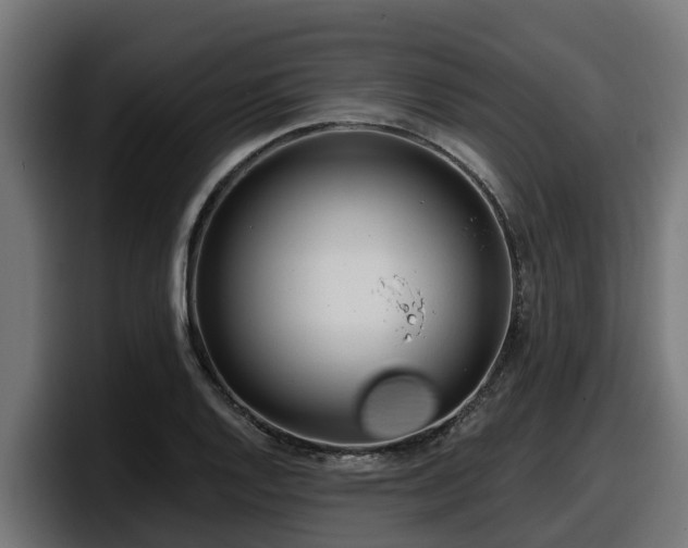 X0000097851128200803201532