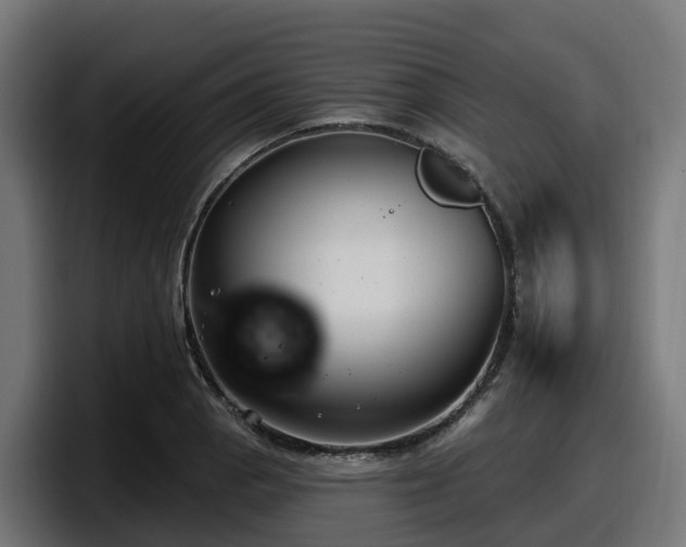 X0000097851129200803201532